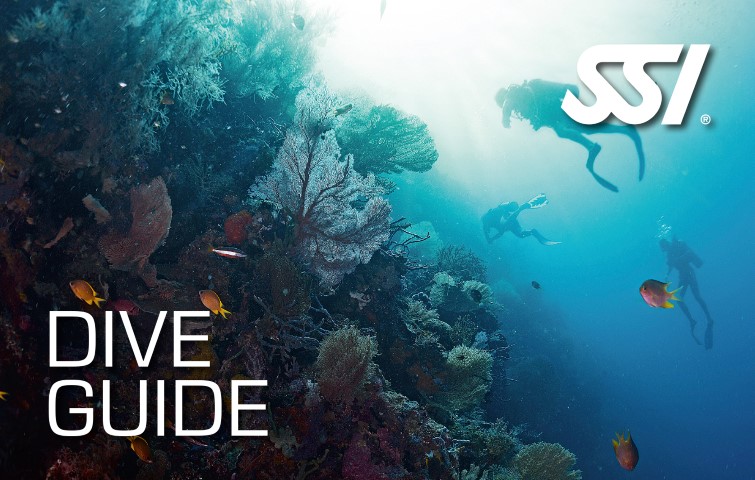 Guía de Buceo / Dive Guide